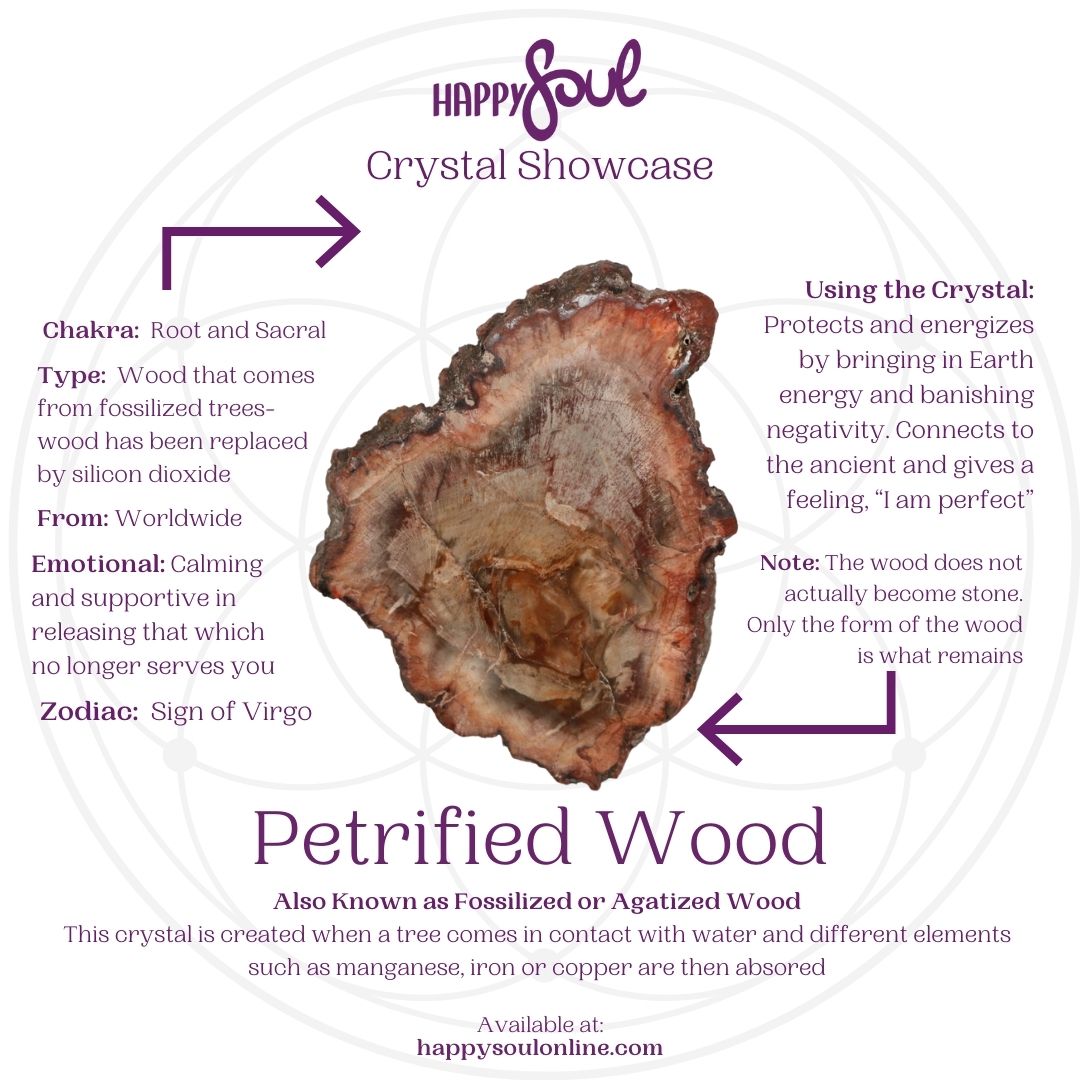 Polished Petrified Wood Specimen: Root Chakra Healing Stone - Ireland Polished Petrified Wood Specimen: Root Chakra Healing Stone - Ireland