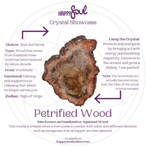 Crystal Showcase: Petrified Wood