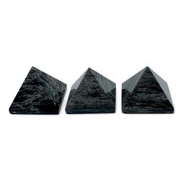 Petrified Wood Pyramid $30