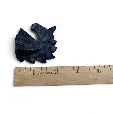 Sodalite - Unicorn