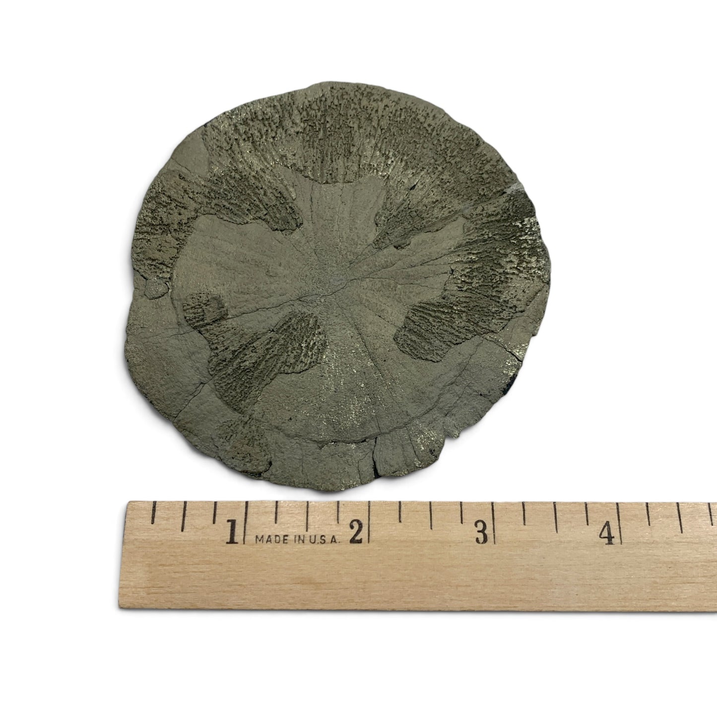 Pyrite Sun Disk $120
