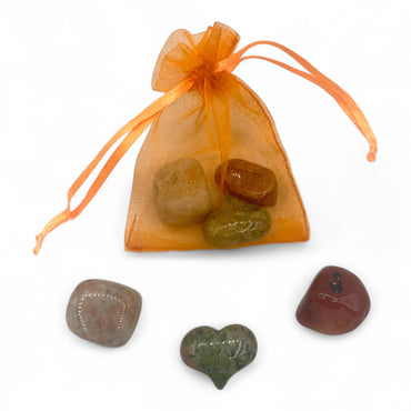 Explore Your Sexuality Pride Set $25  SALE $10