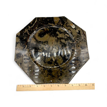 Fossil Stone - Plate $180