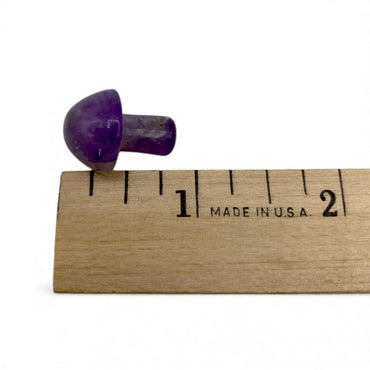 Amethyst Mushroom $8
