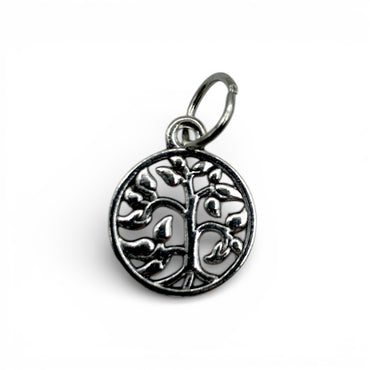 Charm - Assorted Silver $5