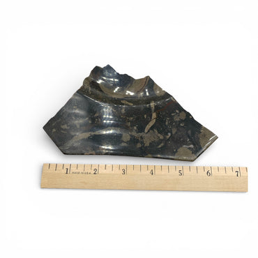 Fossil Stone - Slices