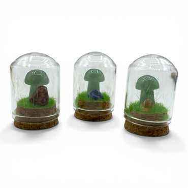 Mini Mushroom Terrarium Assorted Crystals