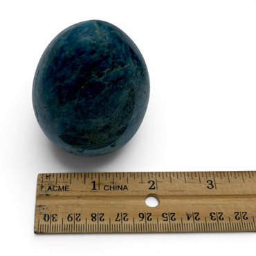 Apatite - Blue Stand $55