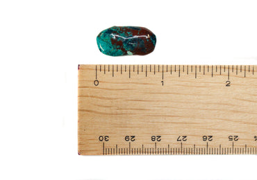 Chrysocolla Tumble $6