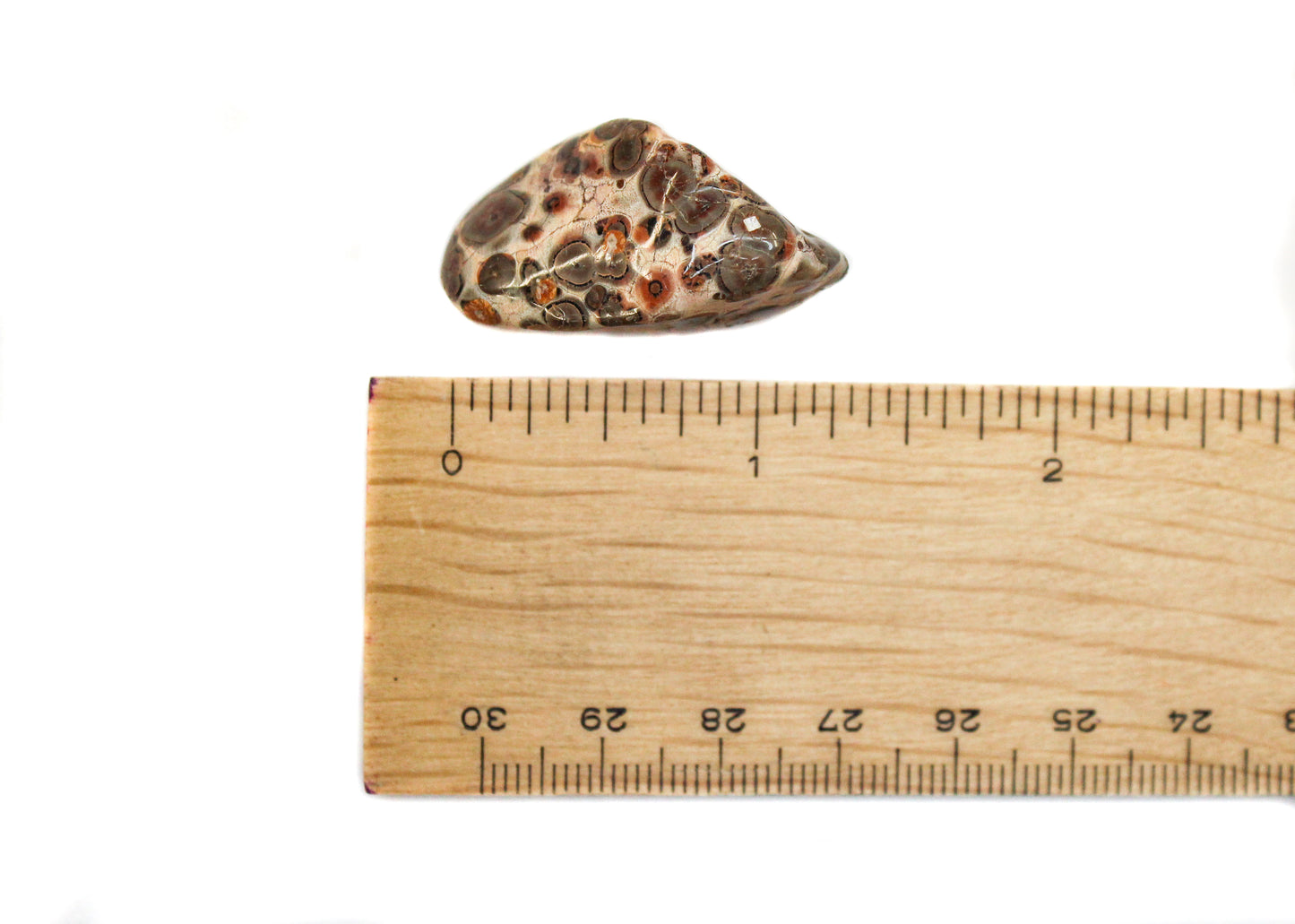 Jasper - Leopard Skin Tumble $7