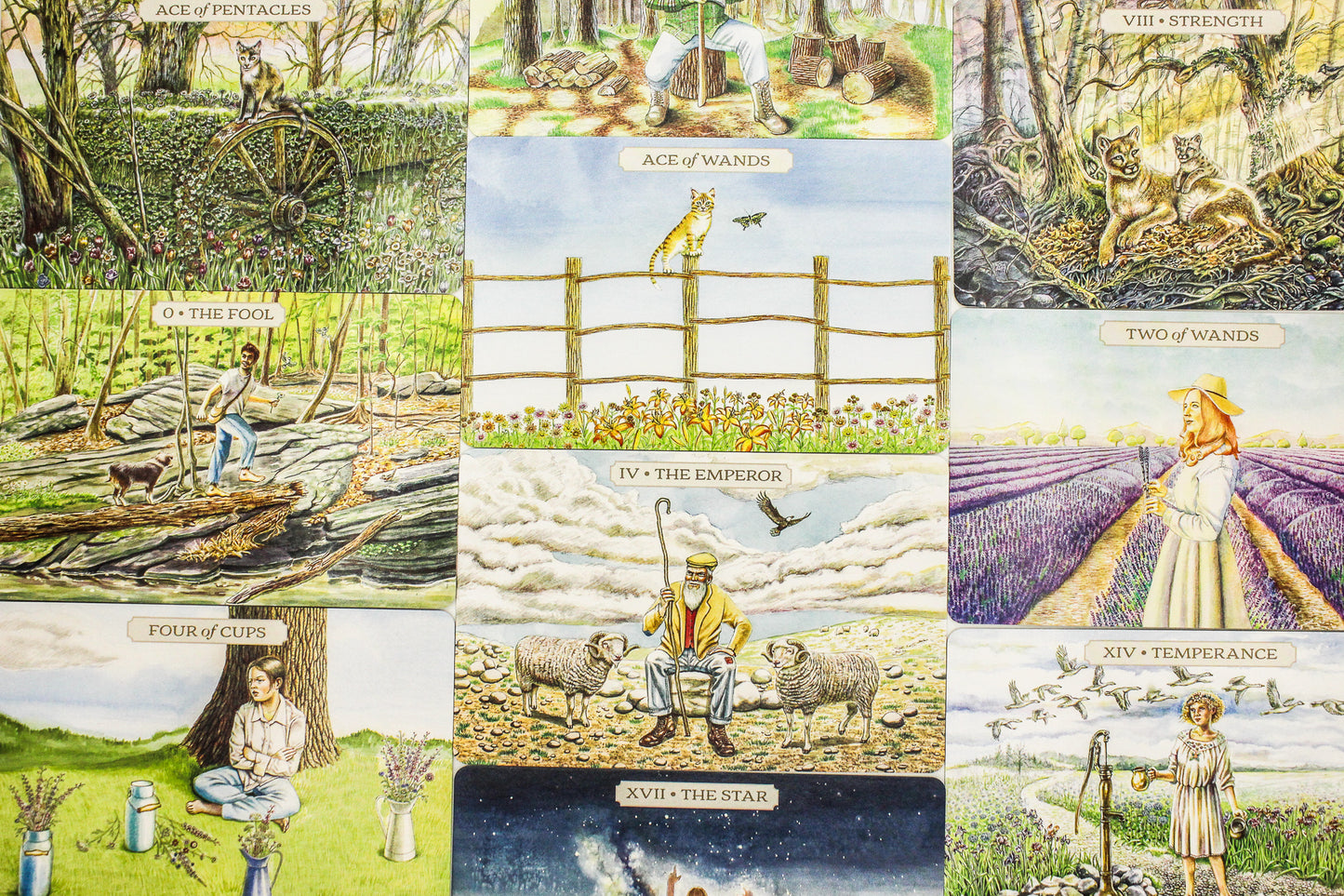 Pastoral Tarot Deck and Book Set