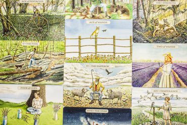 Pastoral Tarot Deck and Book Set