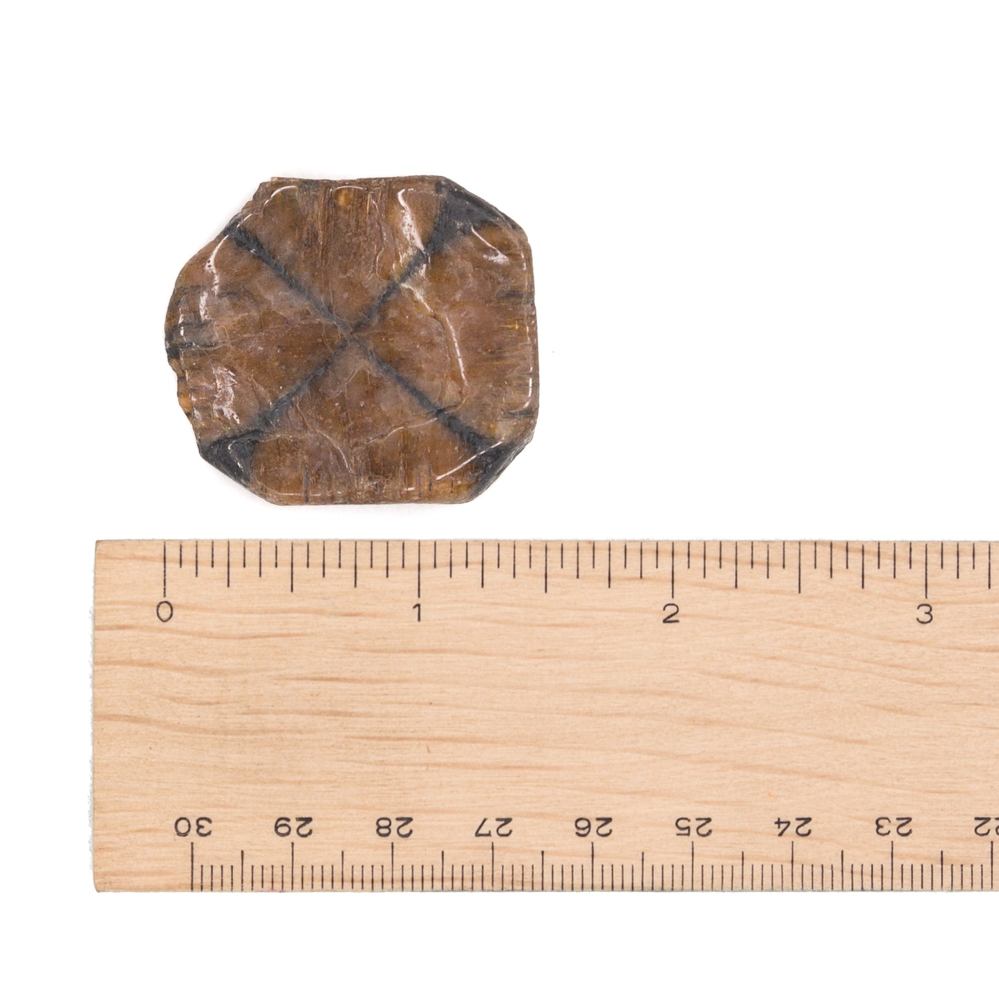 Chiastolite Tumble $10