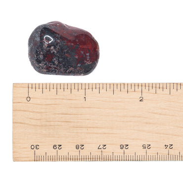 Jasper - Mary Ellen Tumble $4