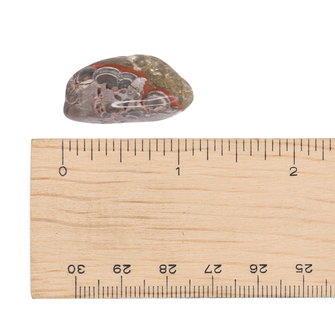 Jasper - Rainforest Tumble $3