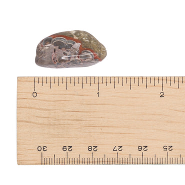 Jasper - Rainforest Tumble $3