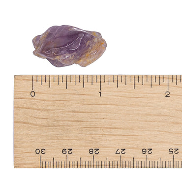 Amethyst Semi-Tumbled $5