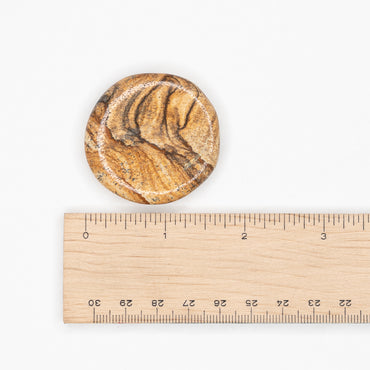 Jasper - Picture Palm Stone $10