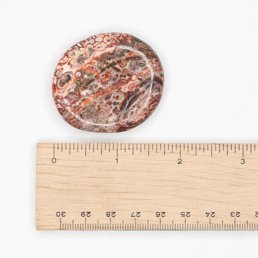 Jasper - Leopard Skin Palm Stone $10