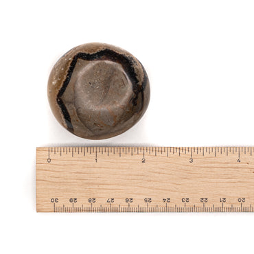 Septarian Touchstone $40