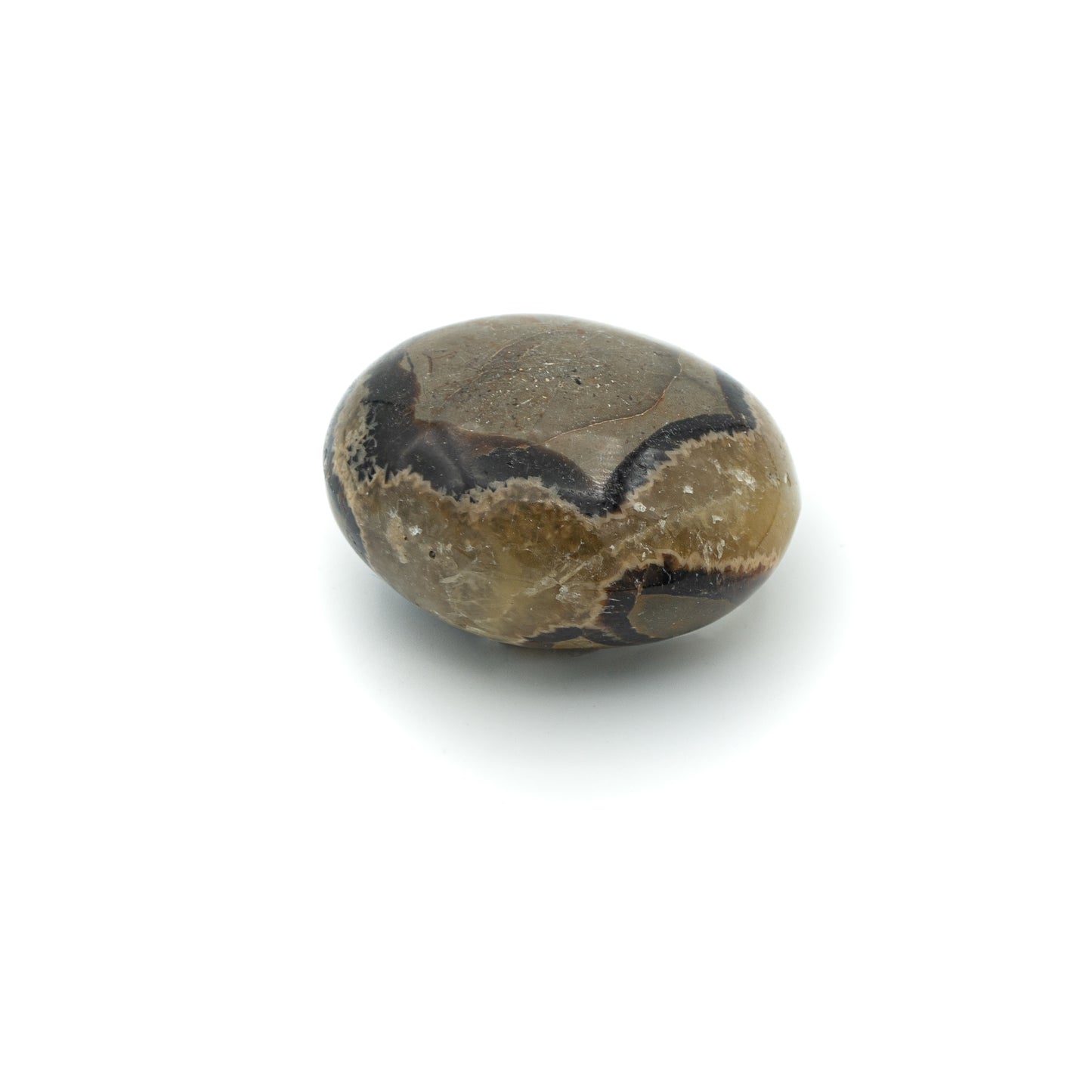 Septarian Touchstone $40