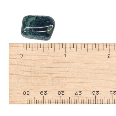 Jasper - Kambaba Tumble $6