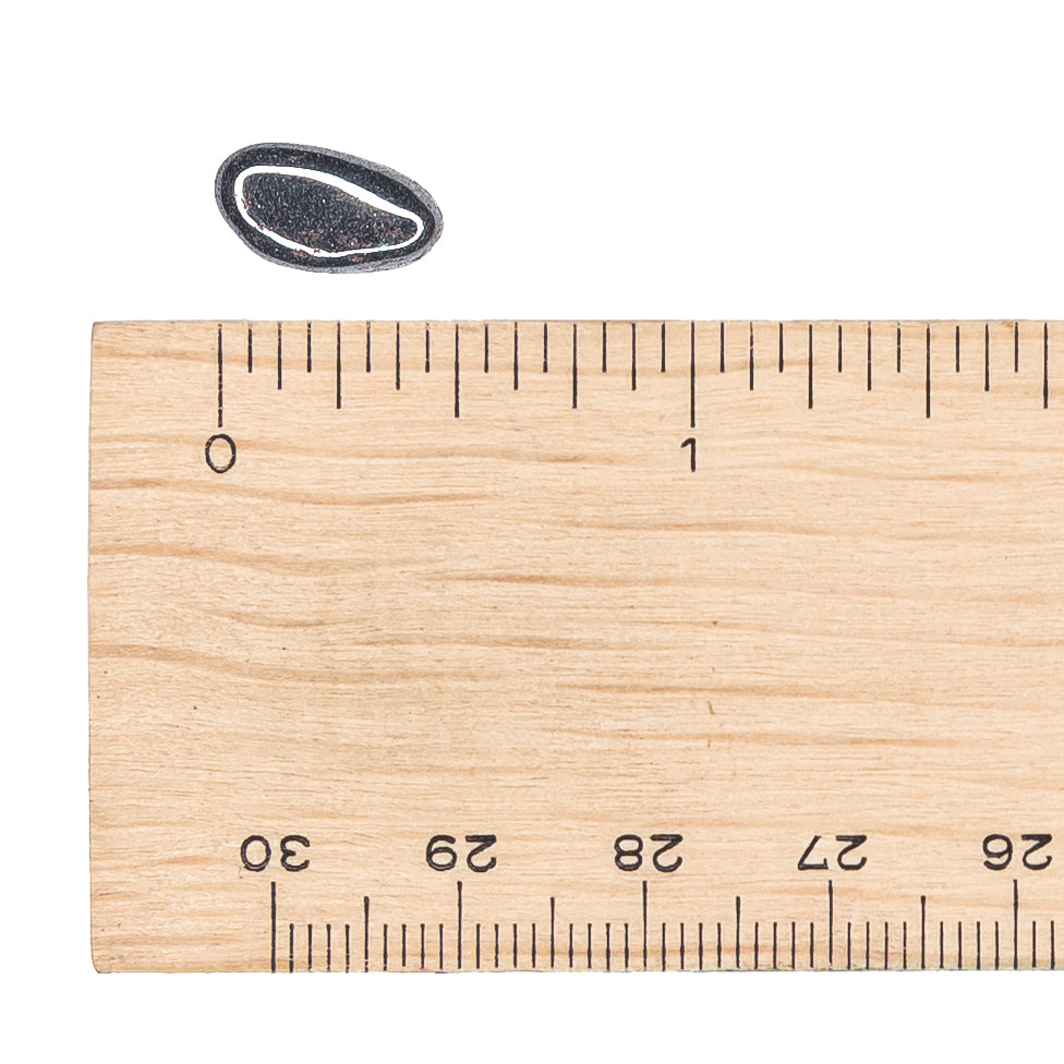 Hematite Mini Tumble $2