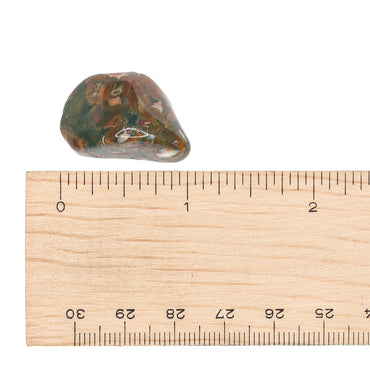 Rhyolite - Rainforest Tumble $4