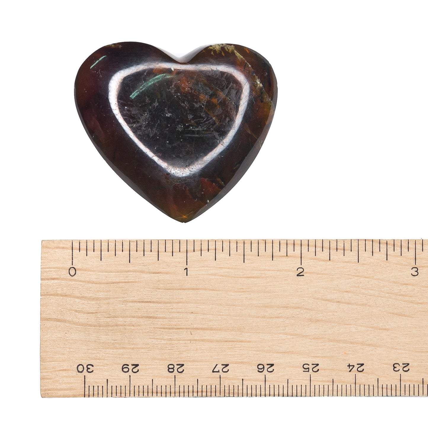 Amber - Zebra Heart $50