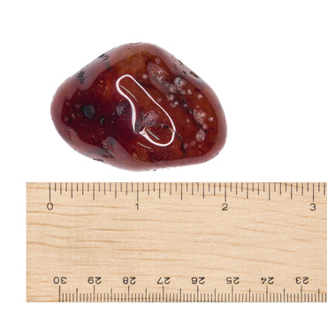 Carnelian Tumble $12