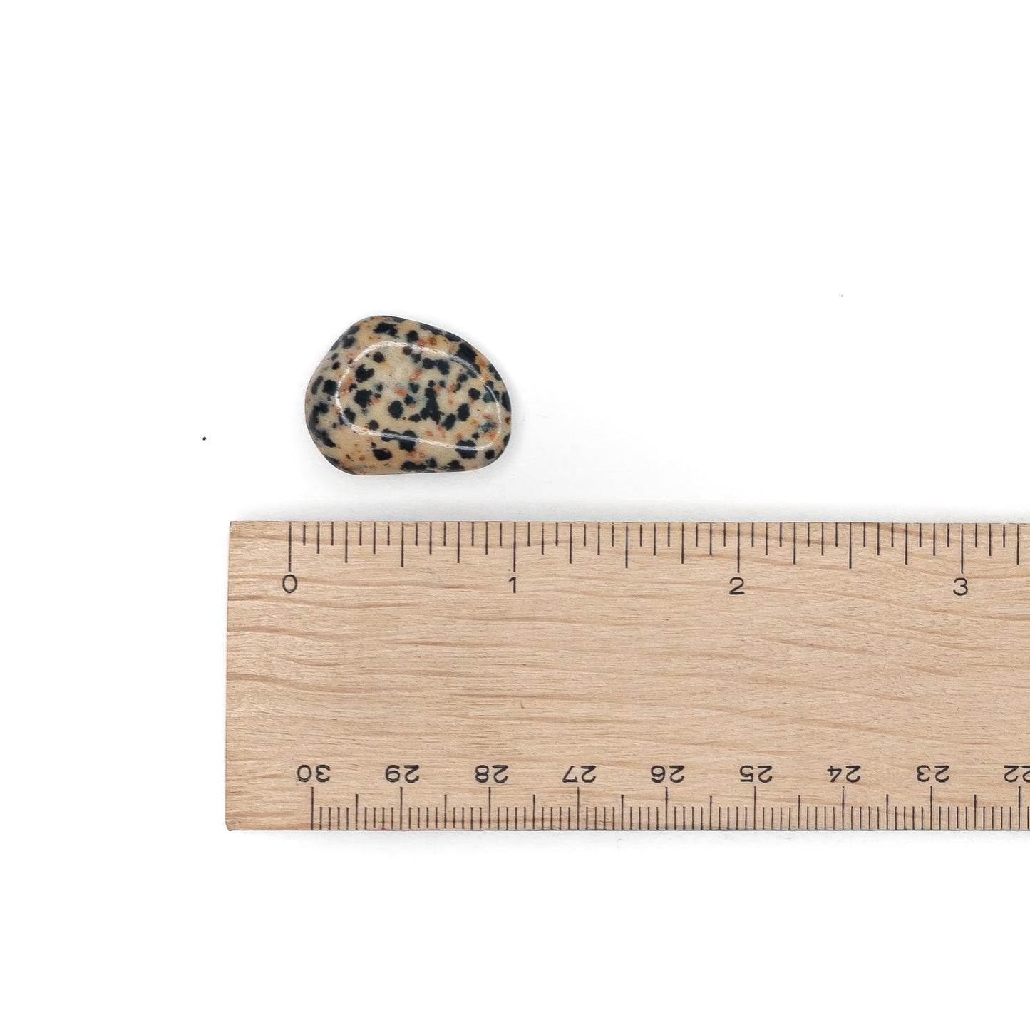 Jasper - Dalmatian Tumble $2