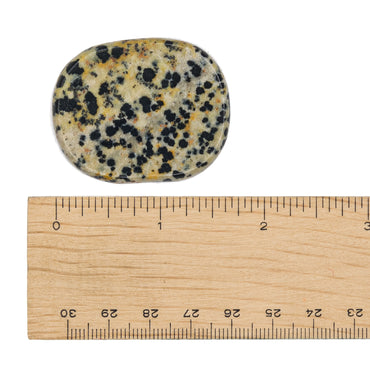 Jasper - Dalmatian Palm Stone $10