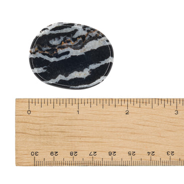 Jasper - Zebra Palm Stone $10