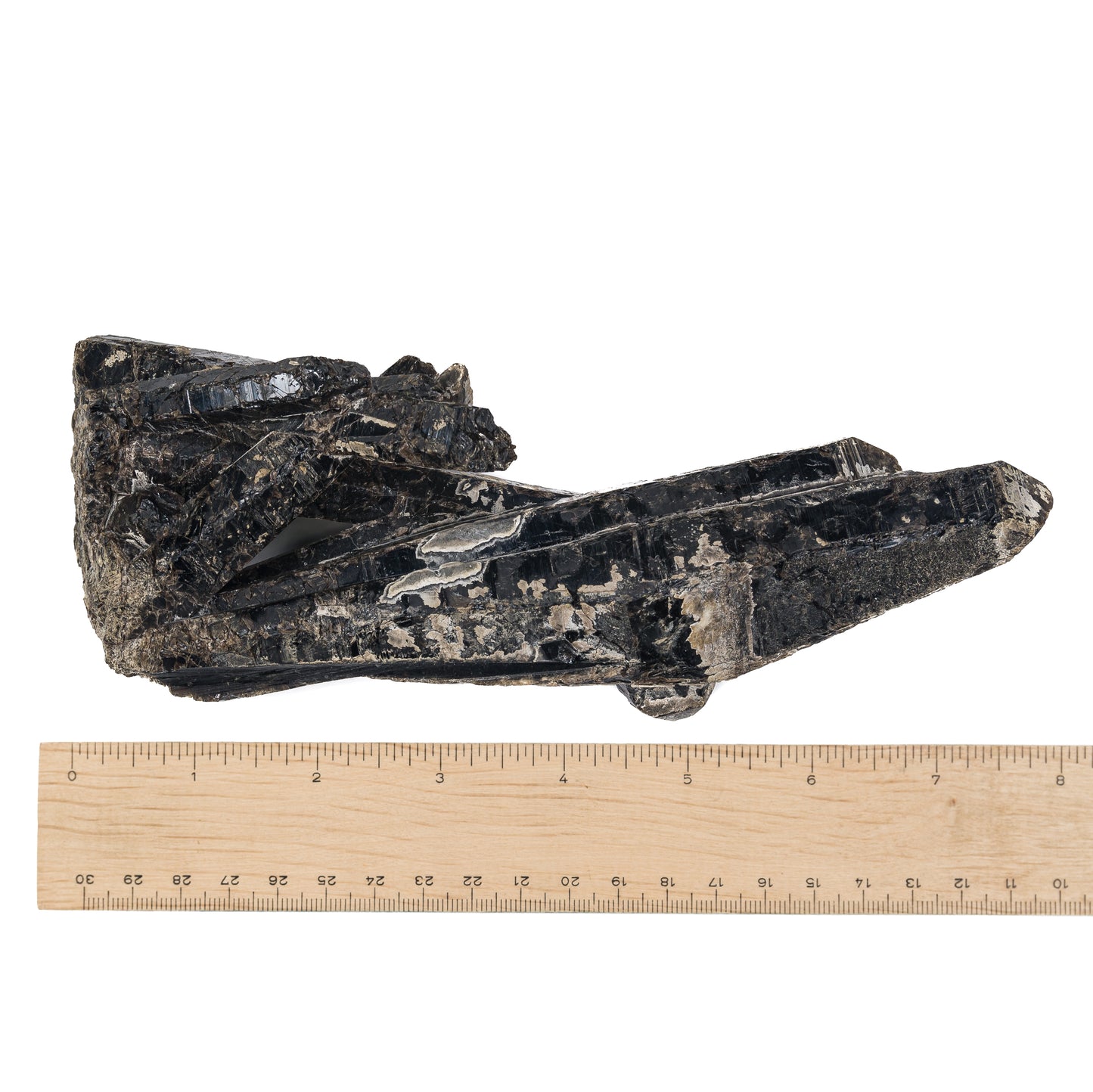 Quartz - Black Mongolian Point $110