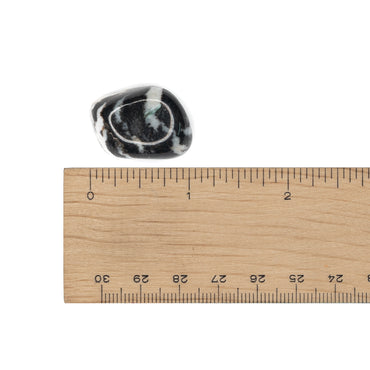 Jasper - Zebra Tumble $3