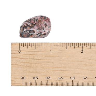 Jasper - Leopard Skin Mini Tumble $2