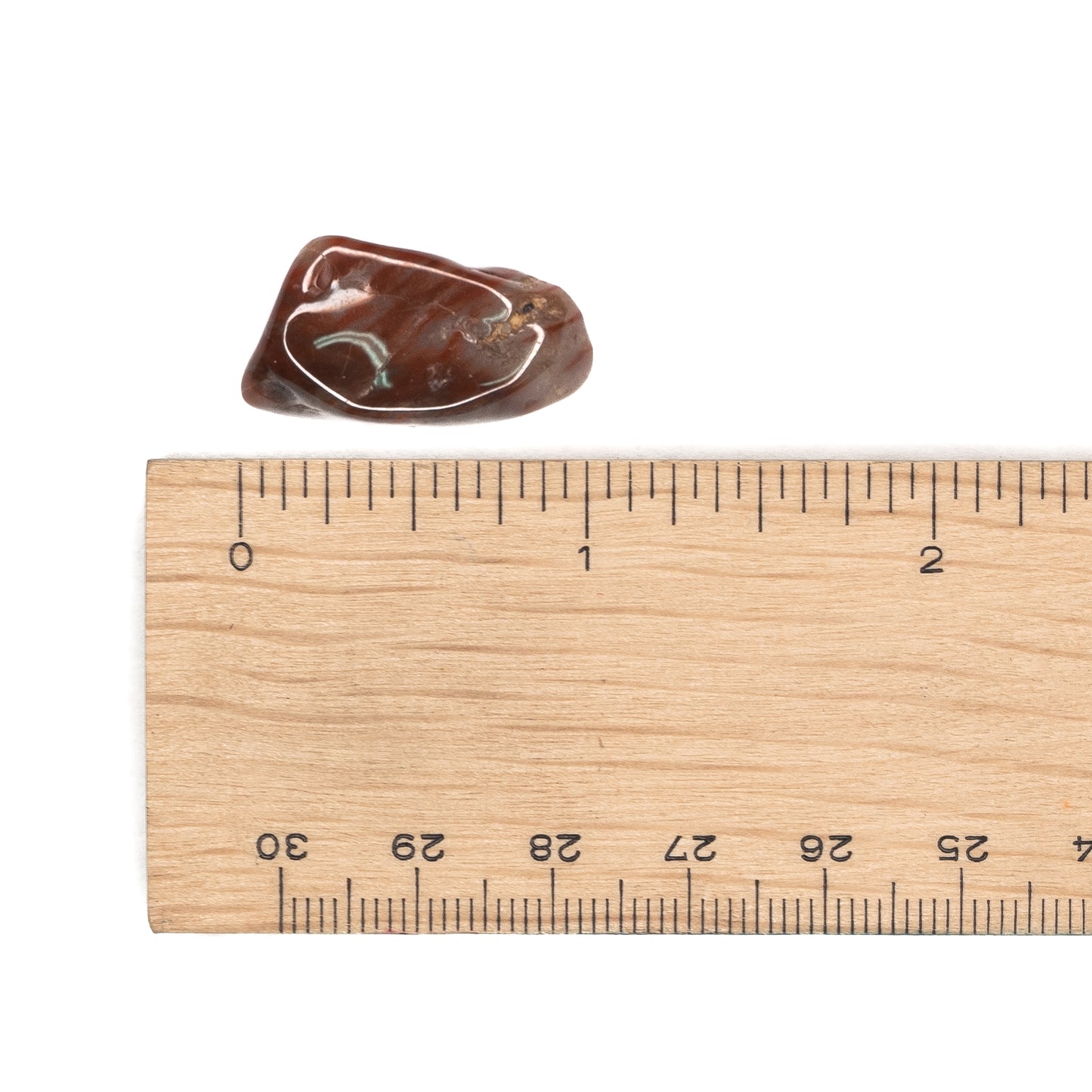 Petrified Wood Tumble $2