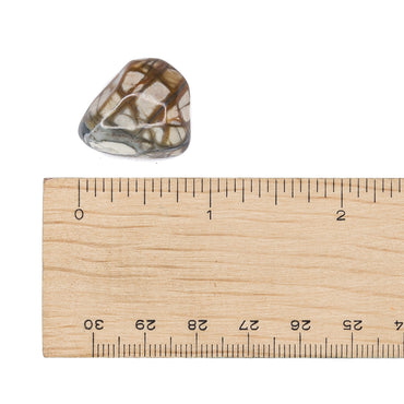 Jasper - Picasso Tumble $4