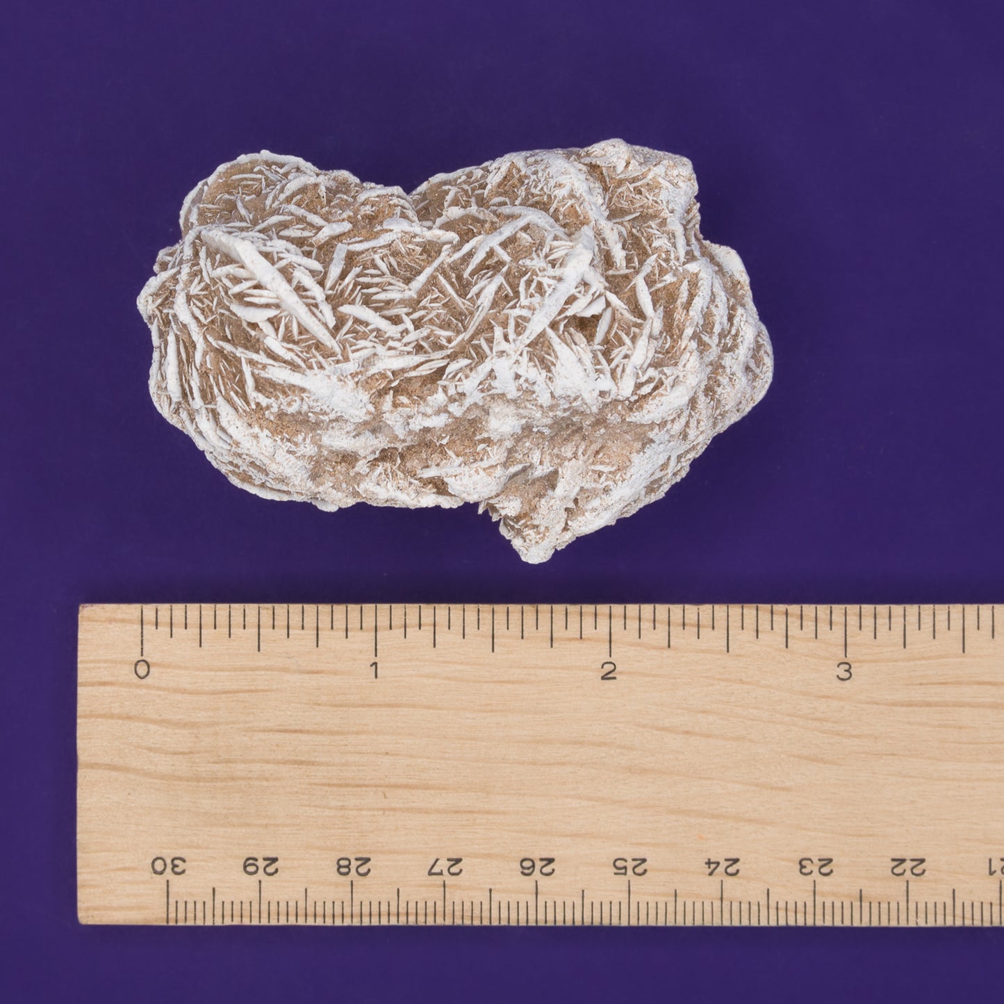 Desert Rose Cluster $20