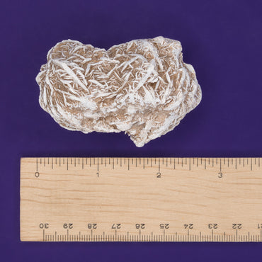 Desert Rose Cluster $20