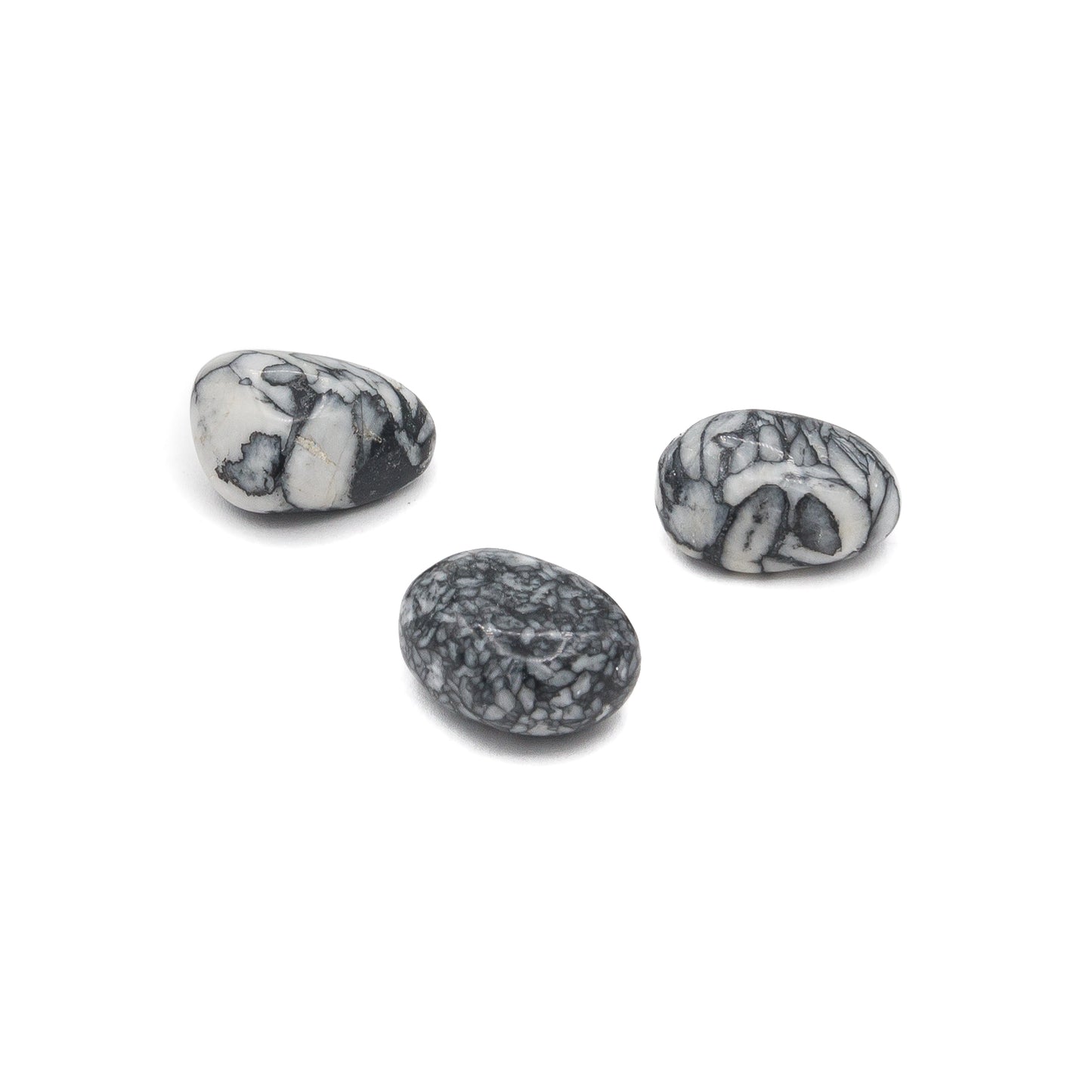 Pinolith Tumble $12