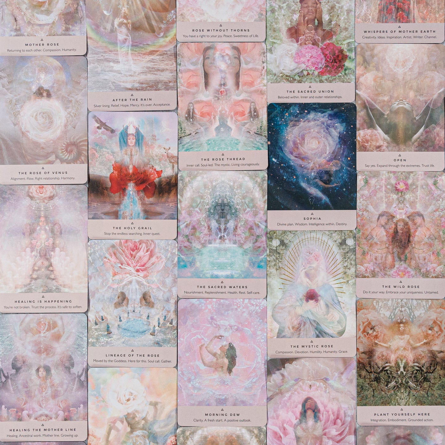 Rose Oracle