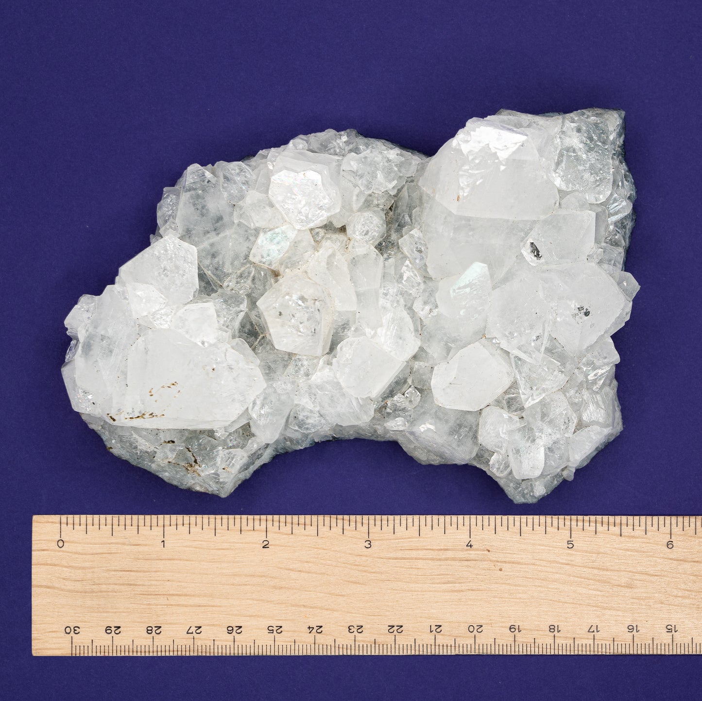 Apophyllite Cluster $100