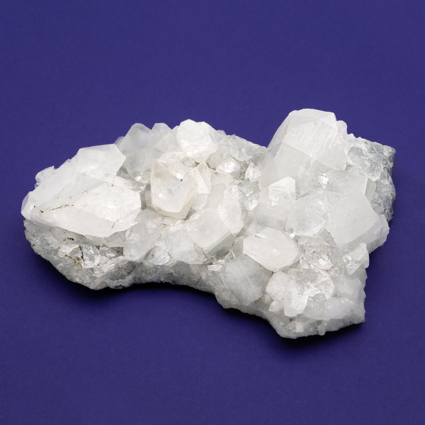 Apophyllite Cluster $100