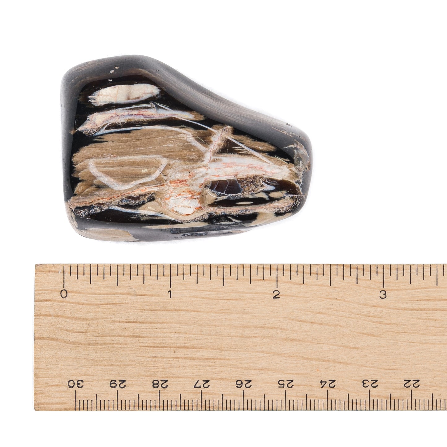 Petrified Wood Tumble $50