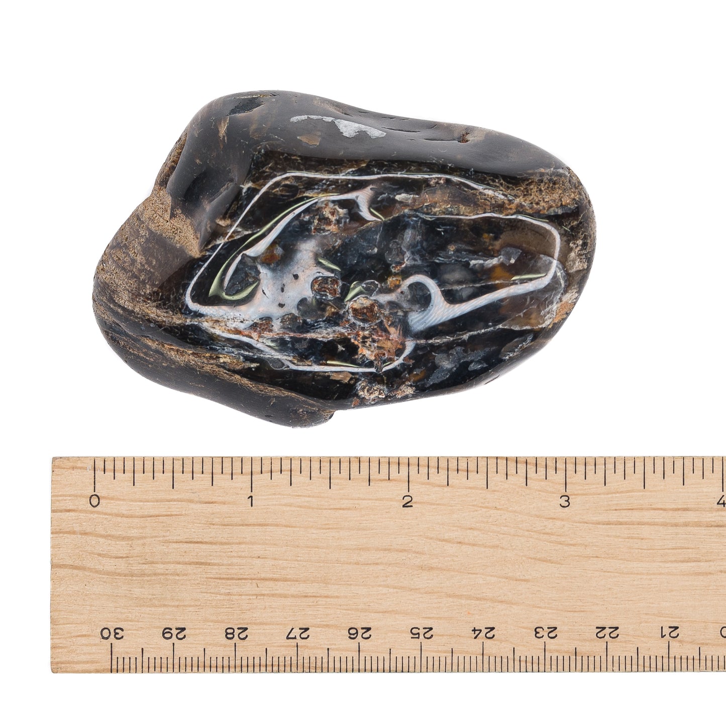 Petrified Wood Tumble $55