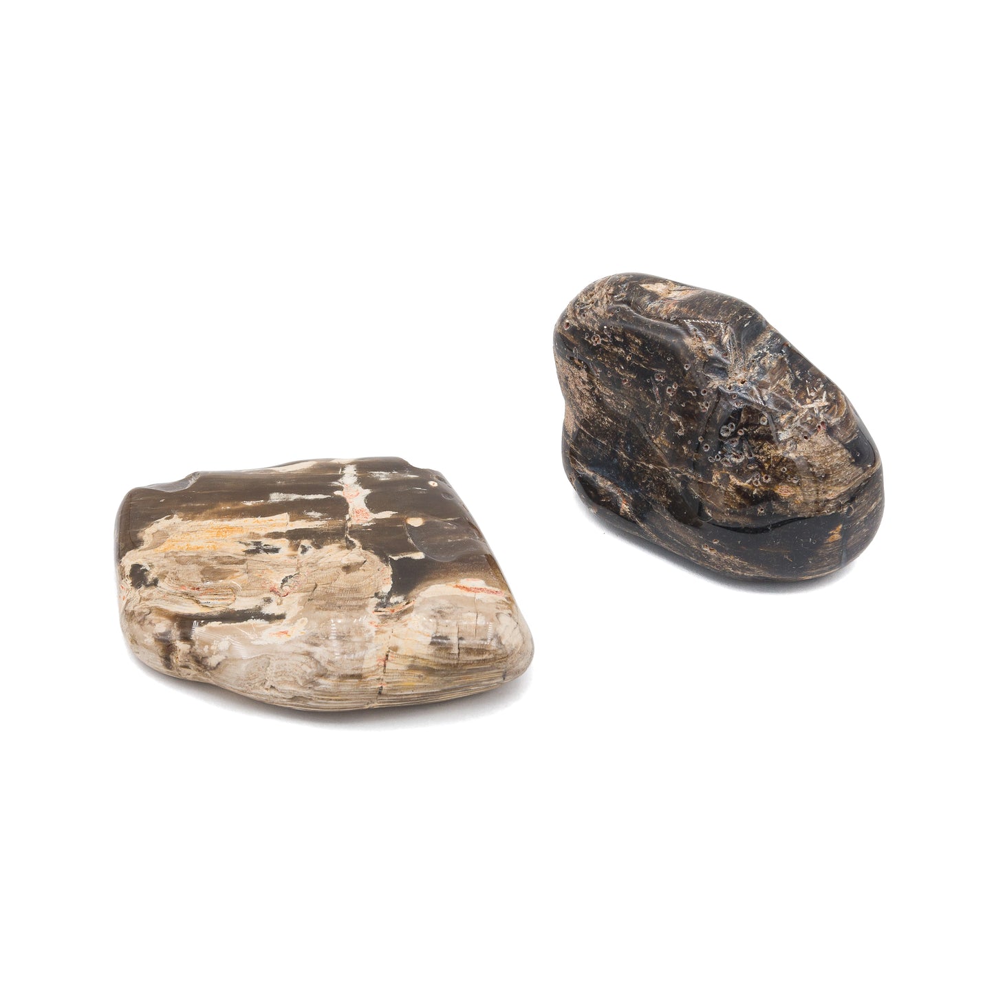 Petrified Wood Tumble $55