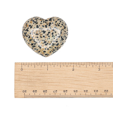 Jasper - Dalmatian Heart $35