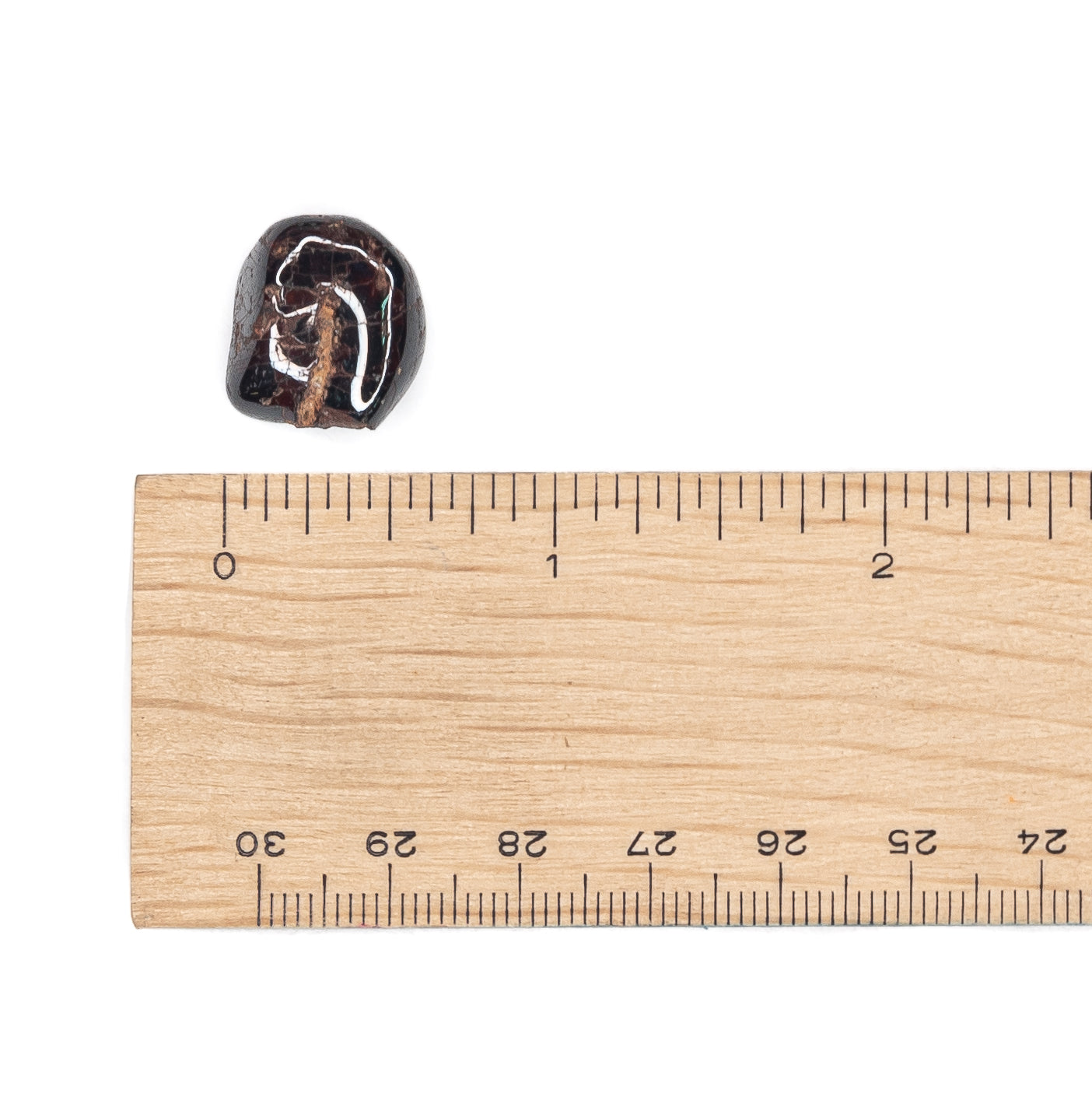 Garnet Mini Tumble $2