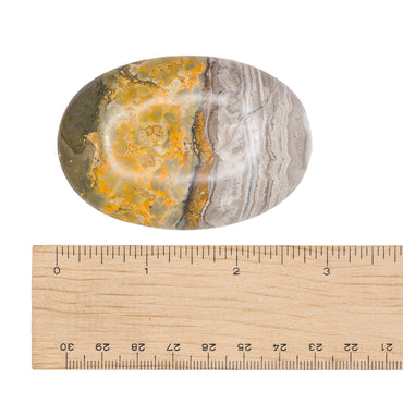 Jasper - Bumblebee Touchstone $90